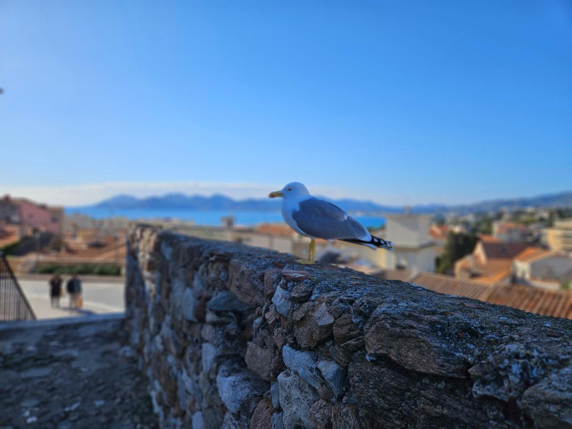 Apartamento Sweet Azur - Host Provence Le Cannet Exterior foto