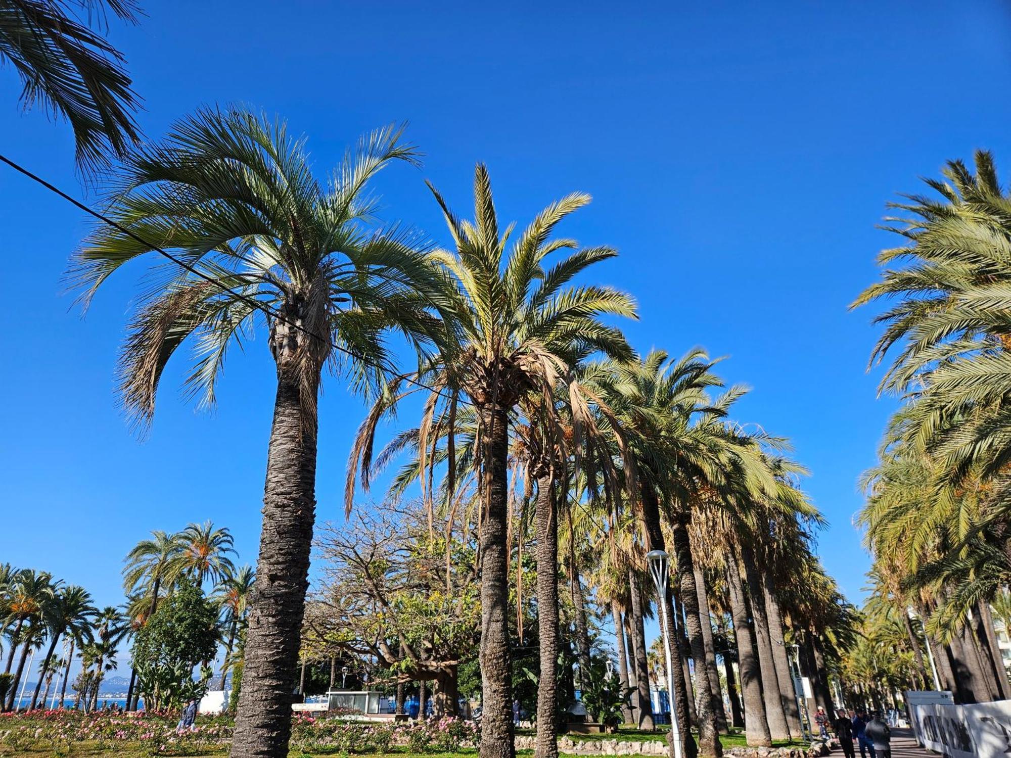 Apartamento Sweet Azur - Host Provence Le Cannet Exterior foto